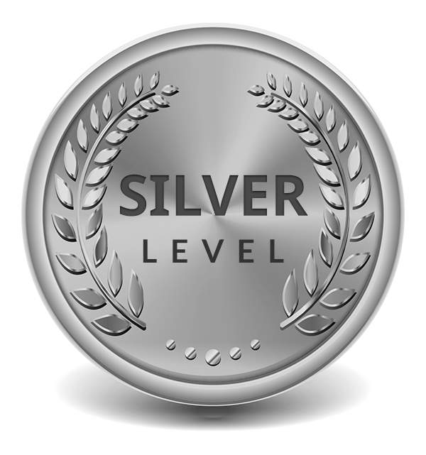 Silver Coin